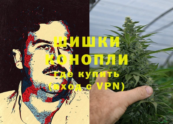 винт Няндома