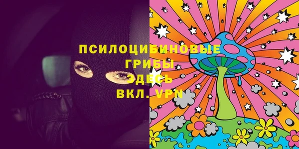 2c-b Осташков