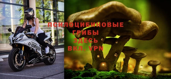 винт Няндома